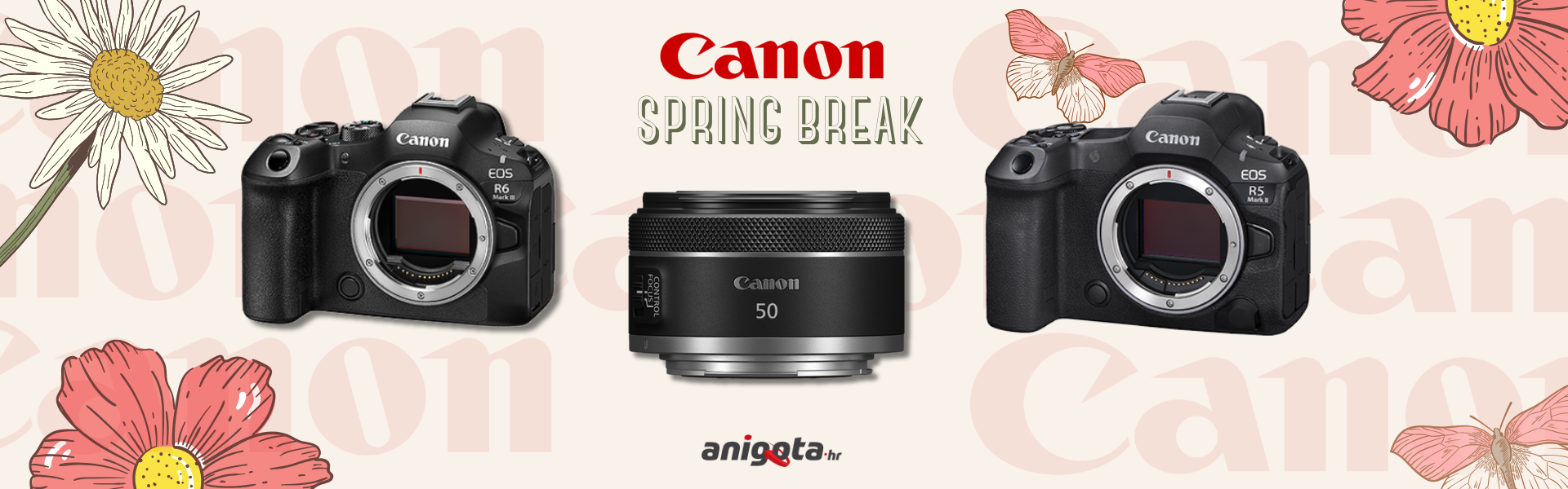 Canon spring break