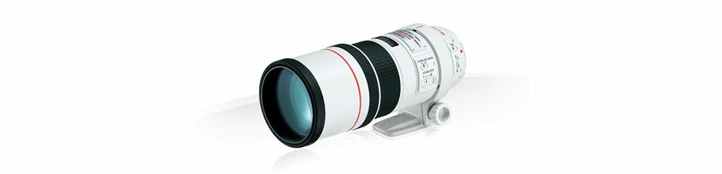 Canon-EF-300mm-f_4L-IS-USM