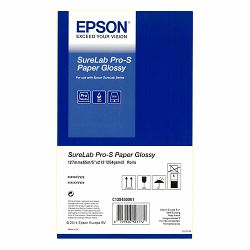 Epson Papier D700 Pro-S 12,7x 65 m glossy