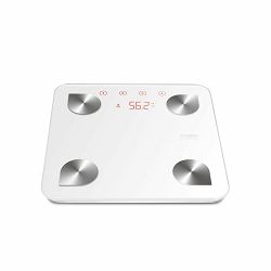 CASO Design Vaga scale BF4