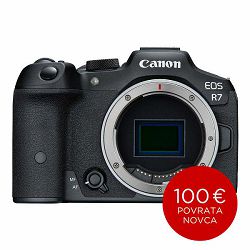Canon Mirrorless Camera EOS R7 (body)